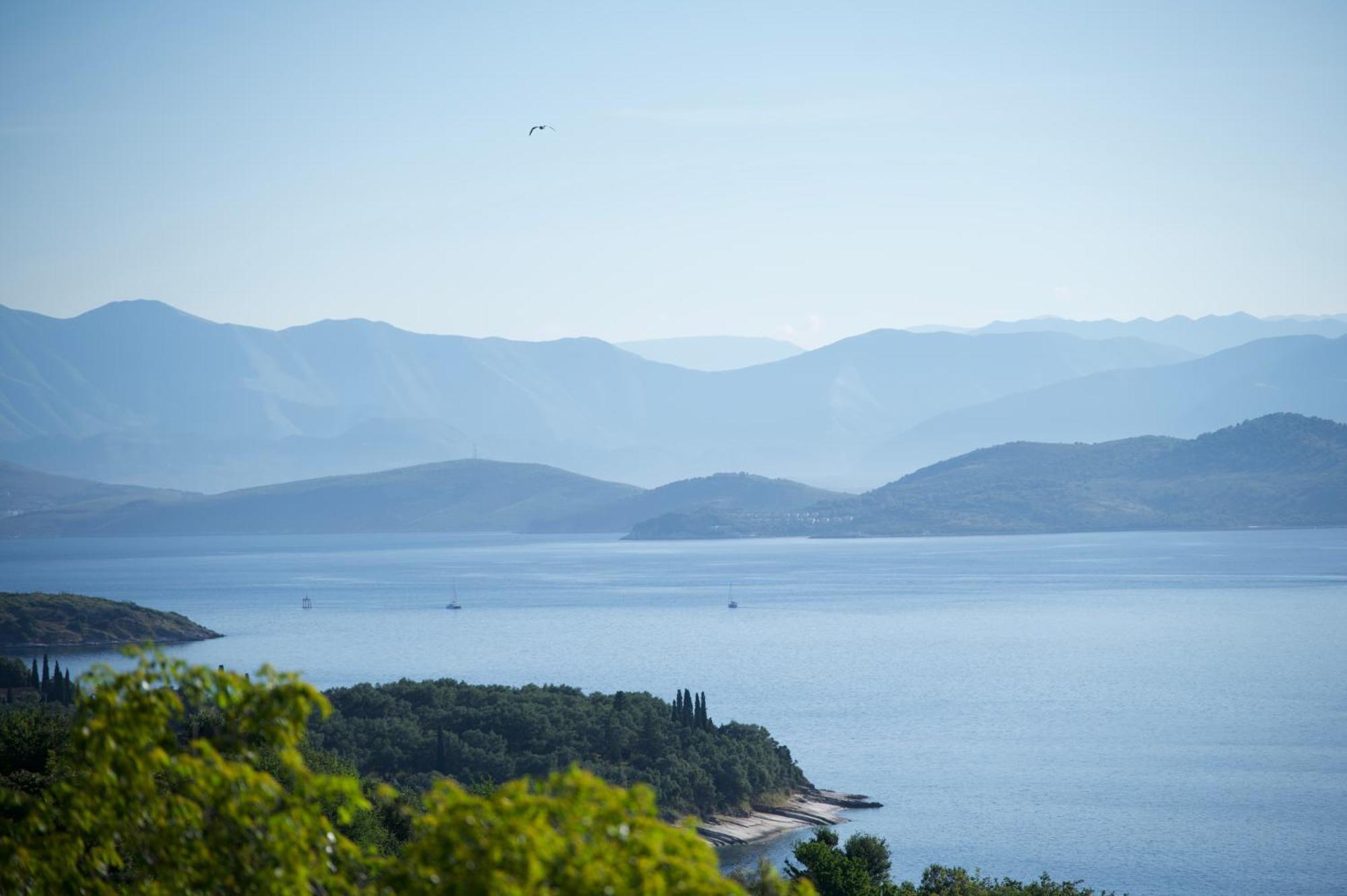 Villa Vilelmina Agnítsini Dış mekan fotoğraf